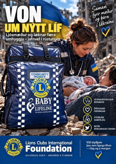 Opinn netfundur með LCIF teyminu