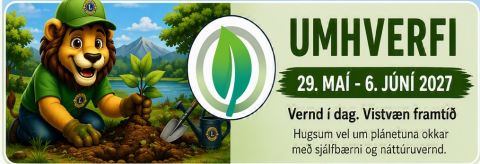 Verkefnavika 3, umhverfi