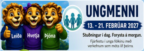 Verkefnavika 2, ungmenni