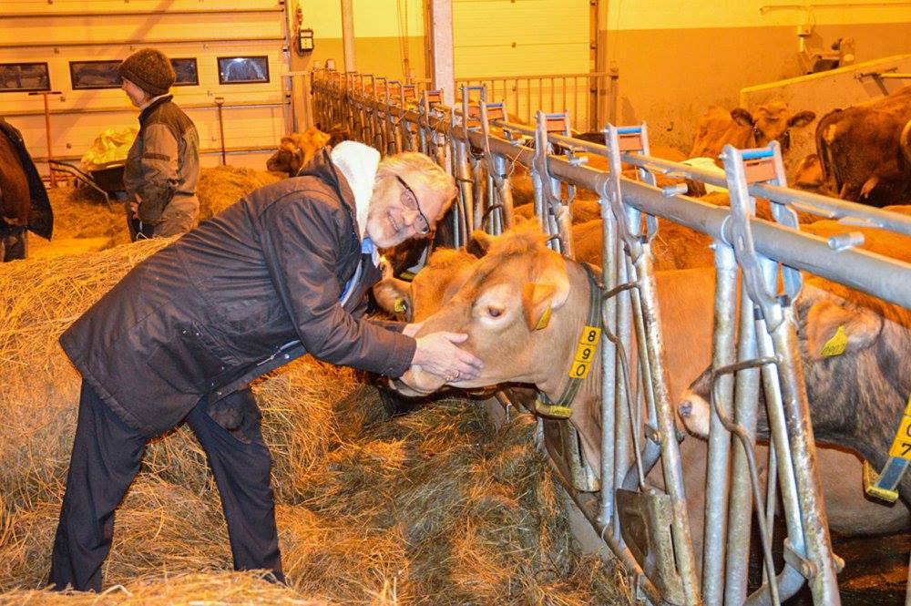 Heimsókn í nýja fjósið í Hvamm í Ölfusi. Kristinn G. Kristjánsson.