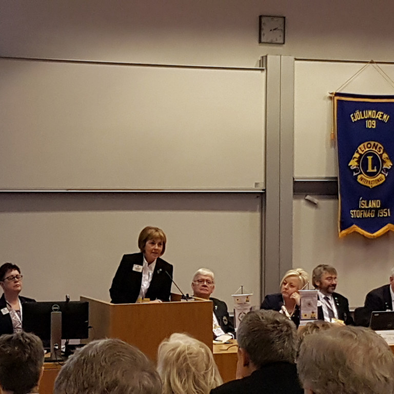 62. lionsþing umdæmis 109