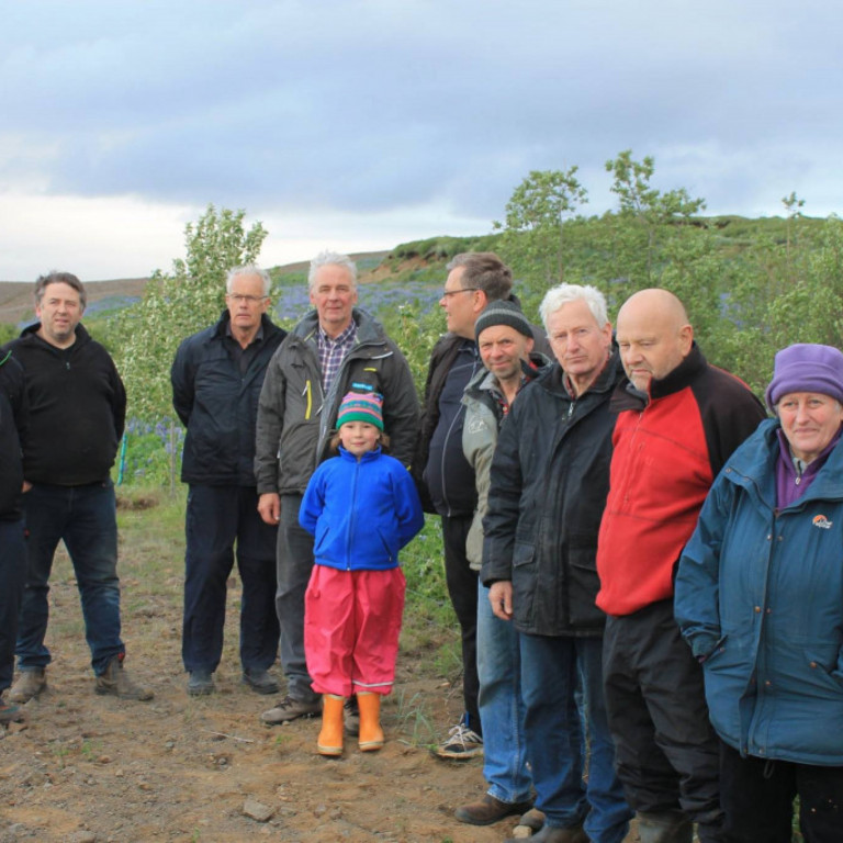 Gróðursetning Lkl. Geysir