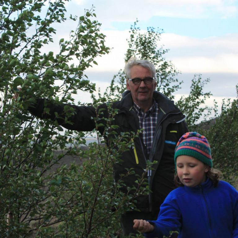 Gróðursetning Lkl. Geysir