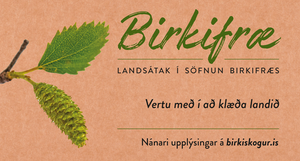 Landsátak í söfnun birkifræs
