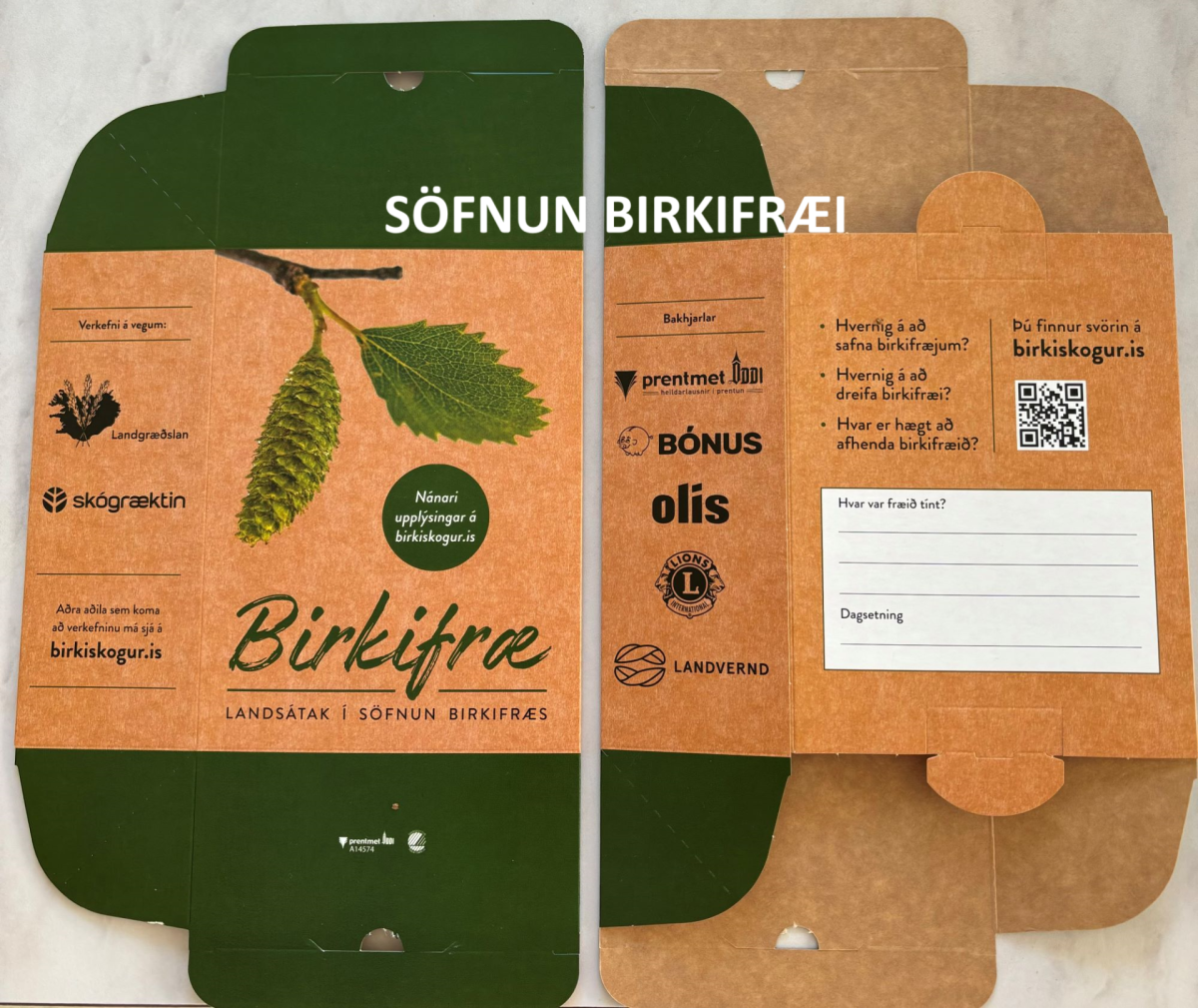 Söfnum birkifræi - ennþá er hægt að taka þátt