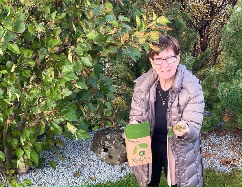 Lkl.Kaldá Hafnarfirði í birkifræsöfnun haustið 2020.