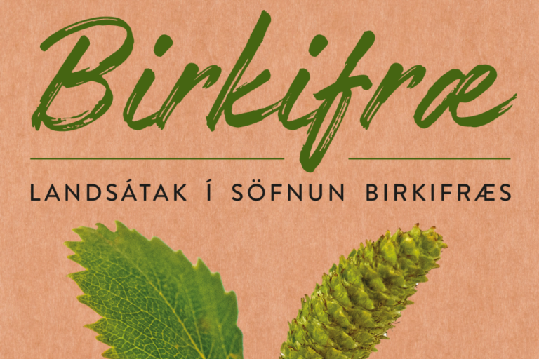 Birkifræsöfnun í Kristnes- og Reykhúsaskógi Eyjafjarðarsveit
