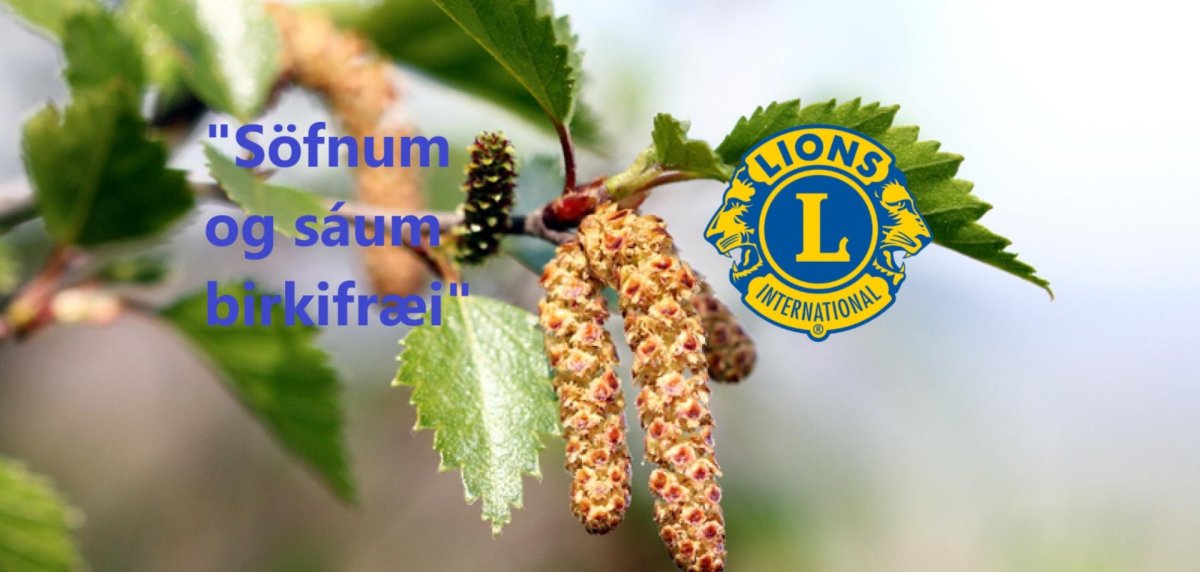 LANDSÁTAKIÐ „ Söfnum og sáum birkifræi„ 2024
