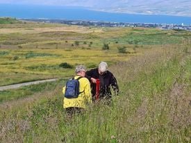 Trjáplöntun hjá Lionsklúbbunum Ösp og Hæng á Akureyri.