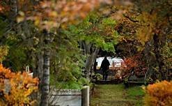 Viðburður vegna 70 ára afmælis Lionshreyfingarinnar á Íslandi og Lionsklúbbs Reykjavíkur.