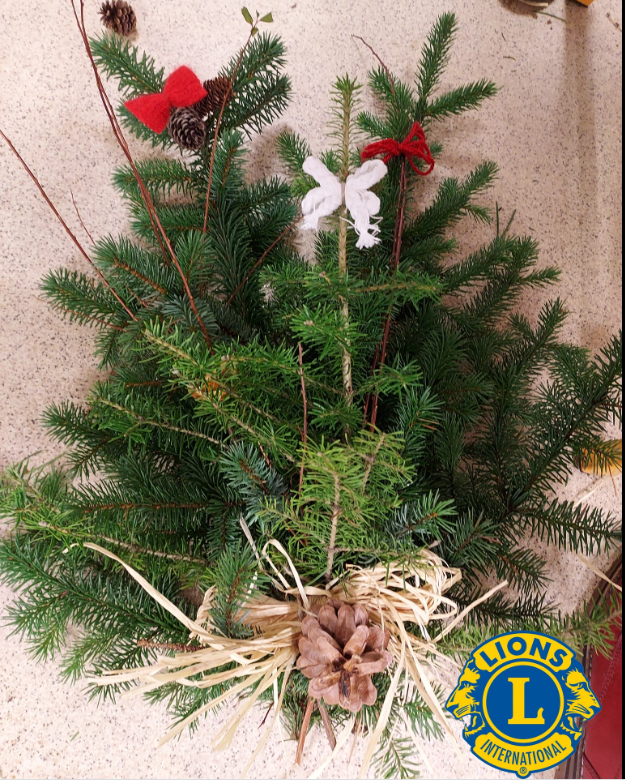 Vistvænar leiðisgreinar til sölu