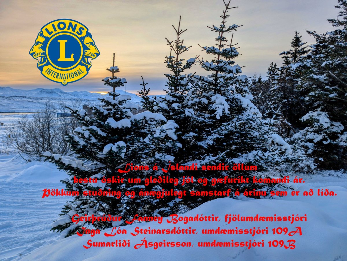 Lions á Íslandi sendir öllum bestu óskir um gleðileg jól og gæfuríkt komandi ár.