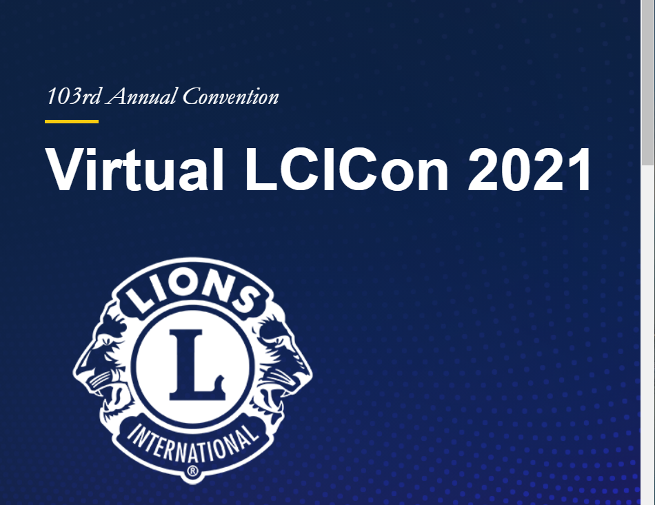 ALÞJÓÐAÞING VERÐUR NETÞING