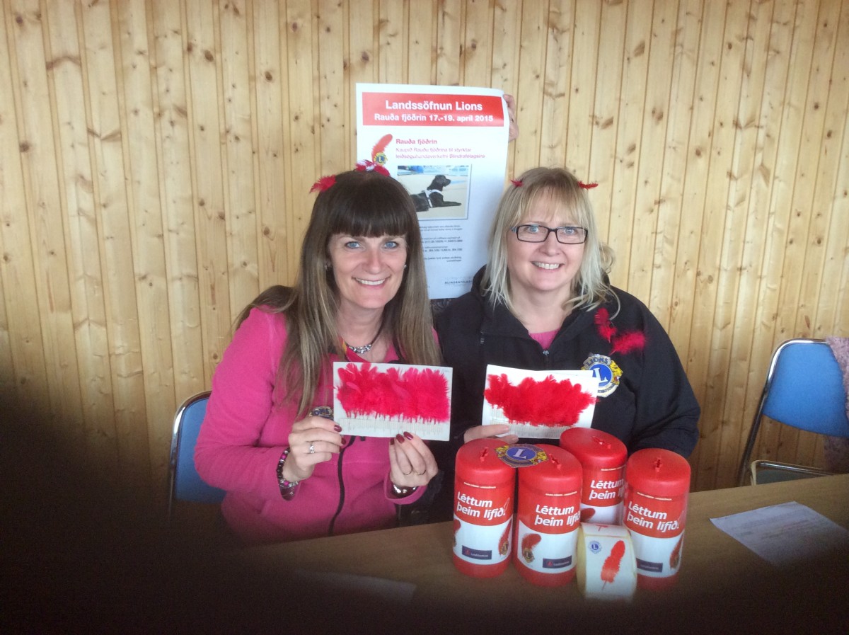 Fréttir af söfnunarátaki Rauðu fjaðrarinnar 2015