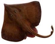 Skötuveisla á Þorláksmessu