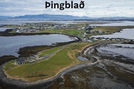 Lionsklúbbur Álftaness boðar til þings